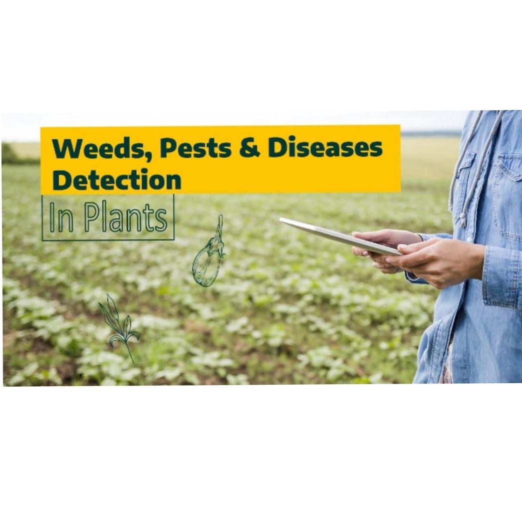 Weeds, Pests & Diseases Detection in Plants