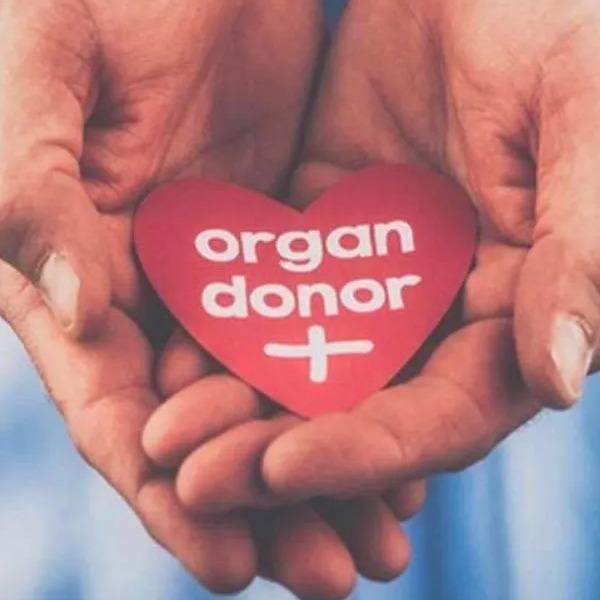 Organ-ise Organ Donation Blockchain System