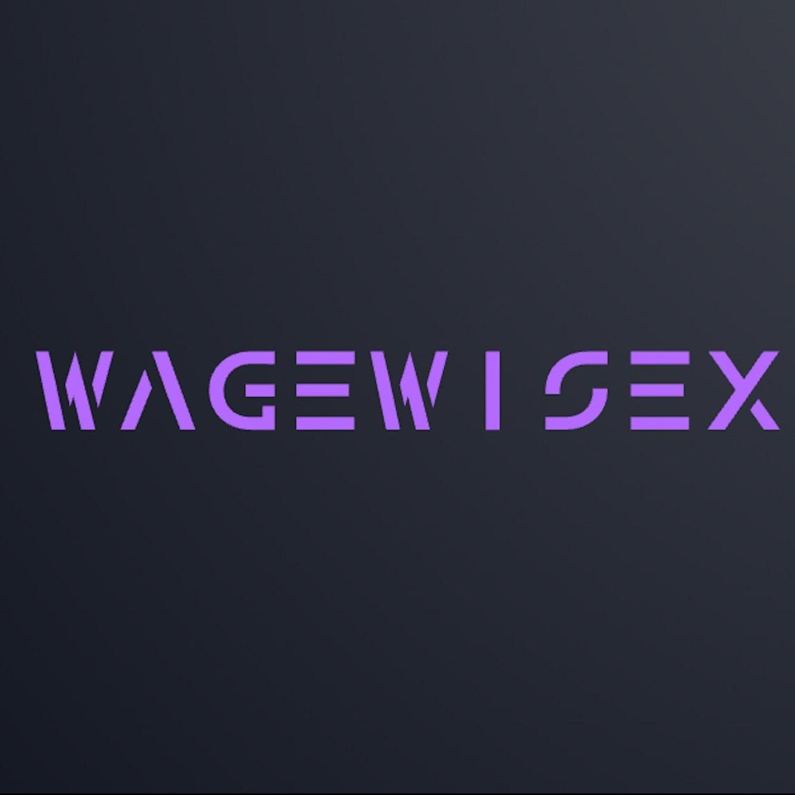 WageWiseX