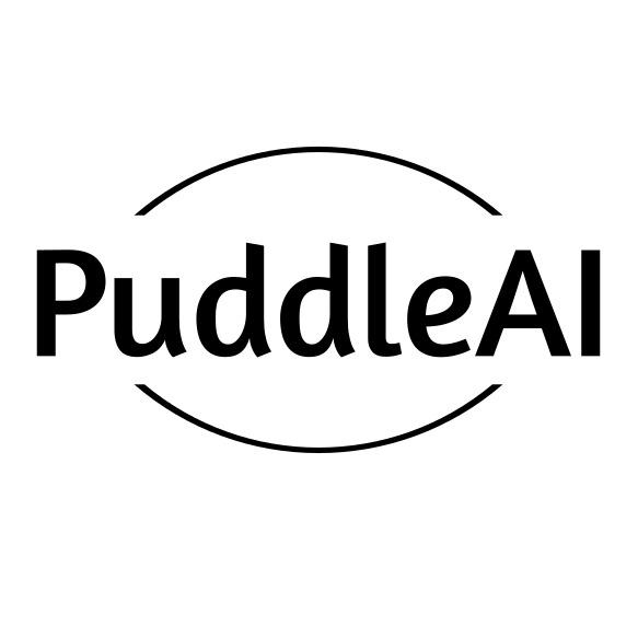 PuddleAI