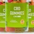 Renew Calm CBD Gummies Reviews