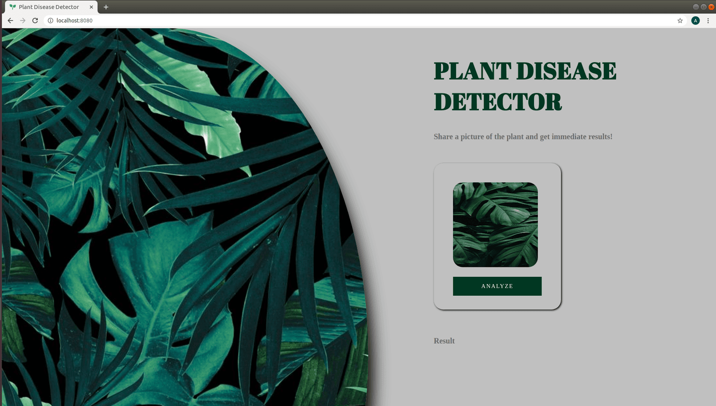 Carousel Gallery Item: 1