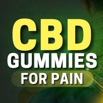 Dana Perino CBD Gummies Review {UPDATE 2024 SHOCK