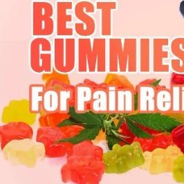 Dana Perino CBD Gummies Official Website