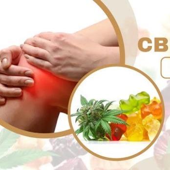 Pureganics CBD Gummies Clinical Proven