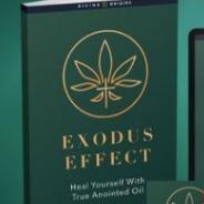 Exodus Effect Reviews 2024 Shocking Results Found!