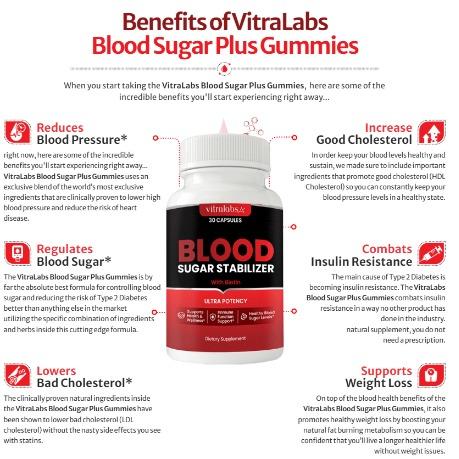 VitraLabs Blood Sugar Stabilizer