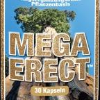 Mega Erect DE AT: Ist es klinisch erwiesen?