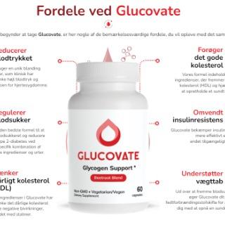 Glucovat Blood Sugar Demark Chokerende fordele Køb