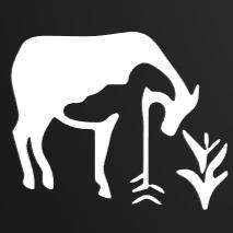 KRISHI 360- Smart Diagnosis. Secure Harvest.