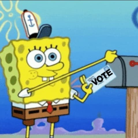 FHE Voting