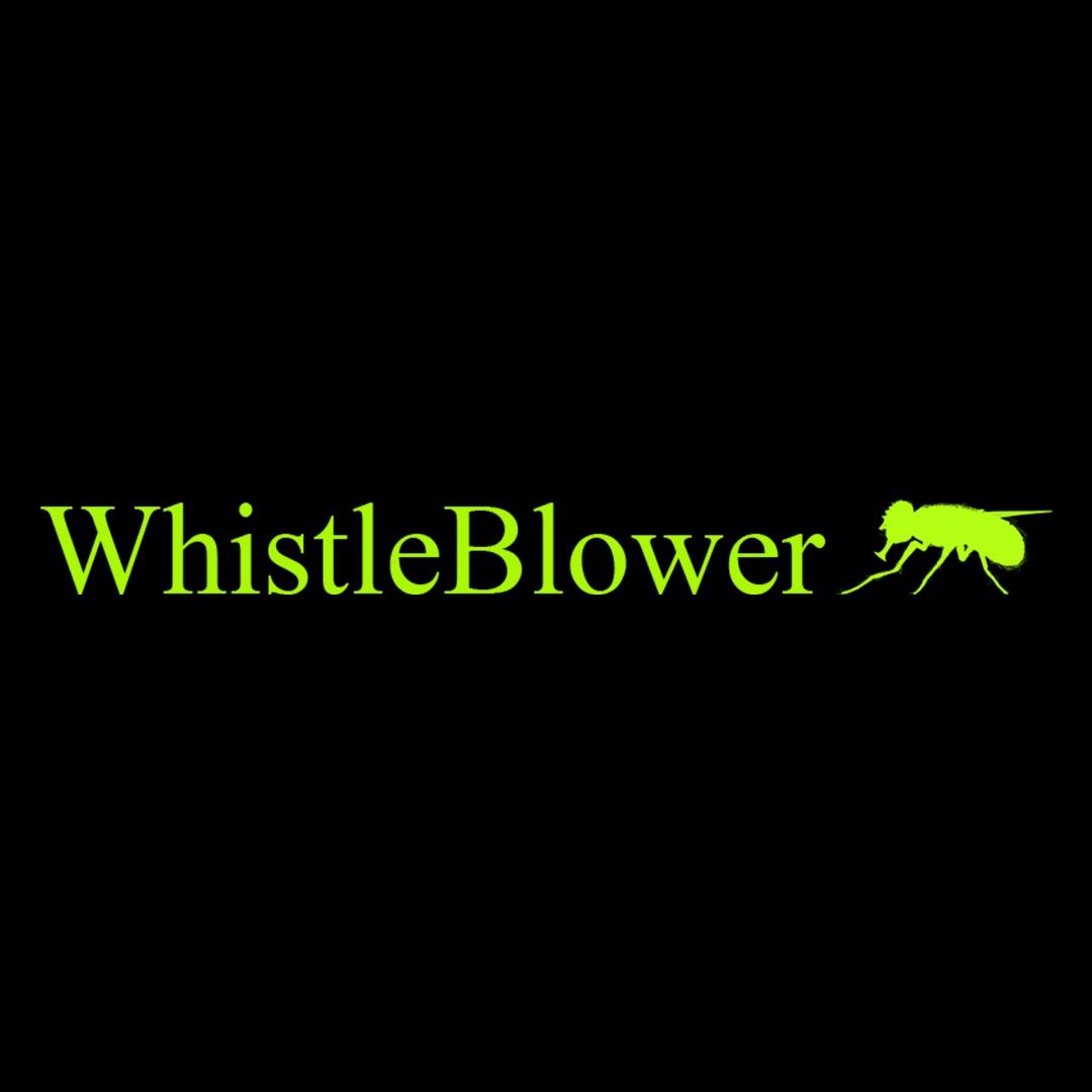 Whistleblower - Wikileaks on steroids