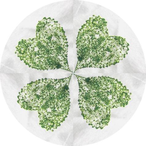 Run Club Connect NFT