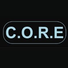 C.O.R.E: Cognitive Optimised Responsive Entity
