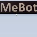 MeBOT