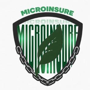 Microinsure: Blockchain-Powered Microinsurance