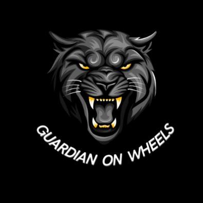 Fire Fighting Obstacle Avoiding With Line Follower