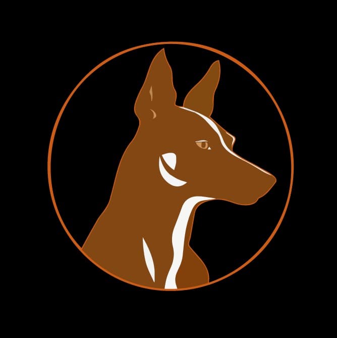 Ámbar Project