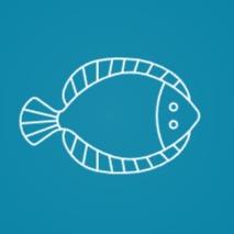Gajami - Dev Airdrop Verifier