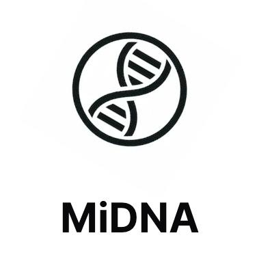 MiDNA