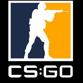 CS_GO Professionals