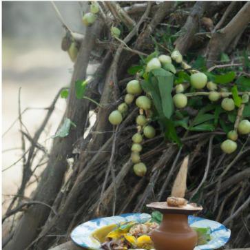 The Heritage Connect