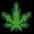 Ganja farm