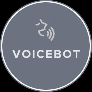 VoiceBot