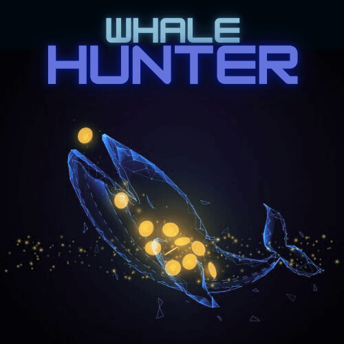Whale Hunter