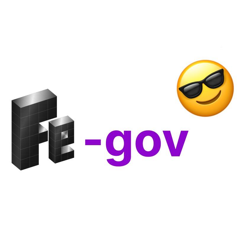 FeGovernance