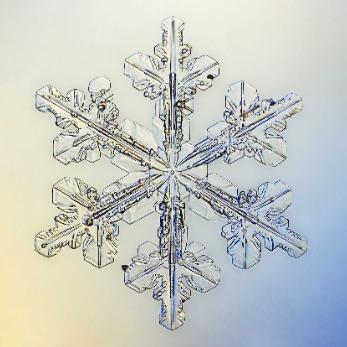 FrostByte