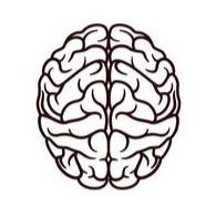 BTDS-Brain Tumor Detection System