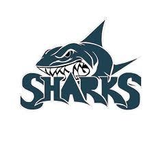 Space Rover Metadata - Tagging