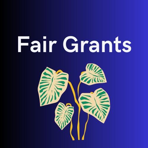 FAIR GRANTS