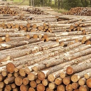 WoodsChain