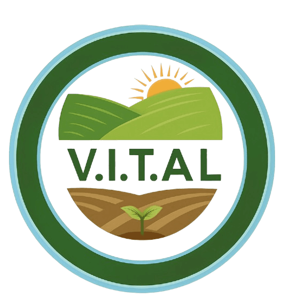 V.I.T.A.L