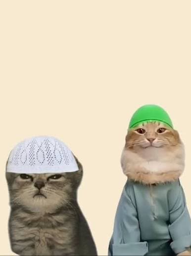 Illegally Halal but not Haram