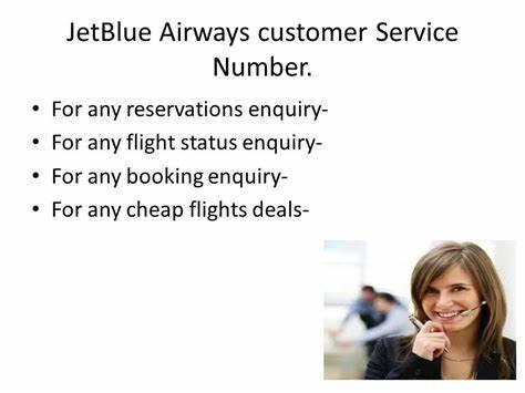 12-ways-to-contact-how-can-i-talk-to-someone