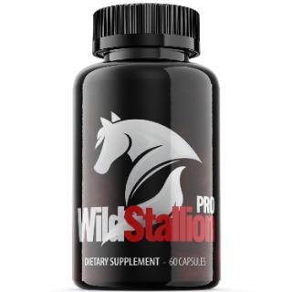 Wild Stallion Pro Safe to Us? Read Carefully Then