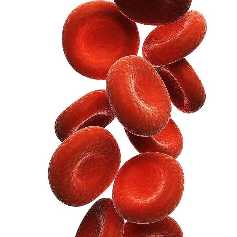 Guardian Blood Balance Australia Benefits