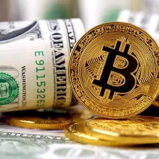 Skyline Nexus Pro Review 2025