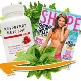Raspberry Ketone Max Review: All You Need to Know?