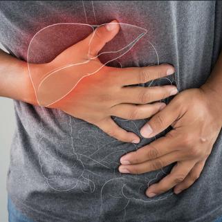 GutOptim Customer Reviews