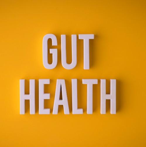 SynoGut Reviews: Price, Original, Online Order