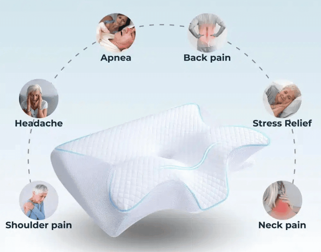 Ergo Z Pillow Reviews 2025: The Pillow That’s Chan