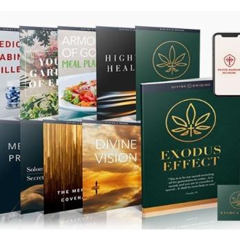 Exodus Effect Recipe 2024 - Real Users Experience!