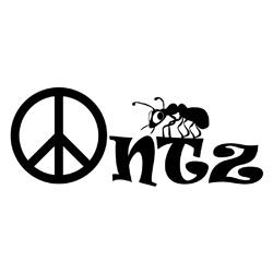 Peace Antz Academy
