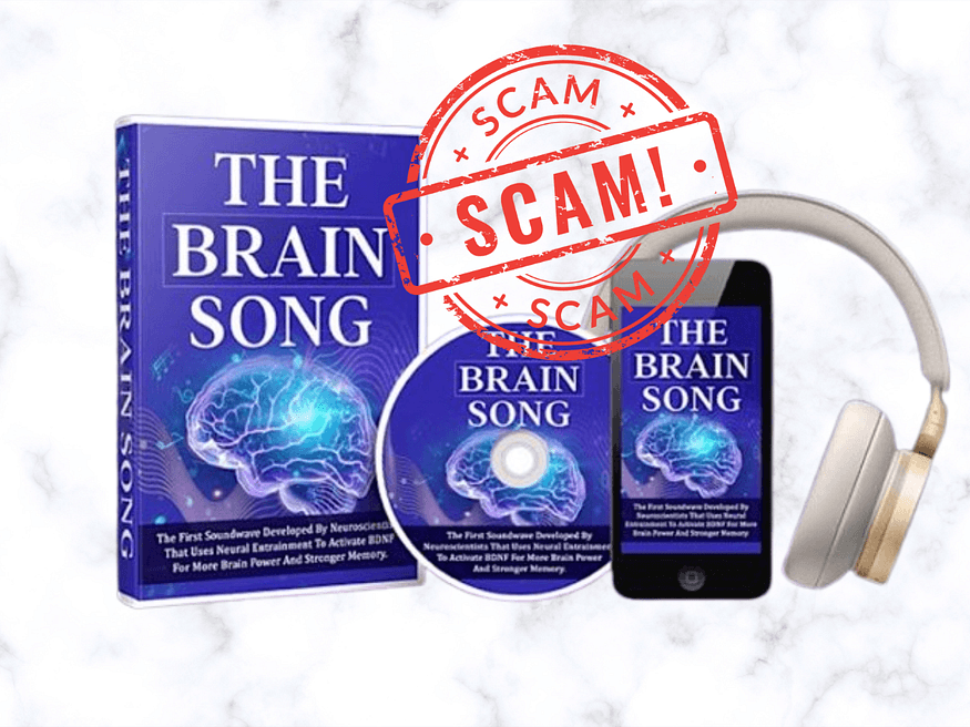 The Brain Song (Serious WARNING!!) EXPERT CHECK!