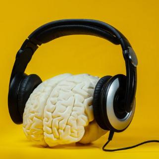 Wealth Rhythm Code Customer Reviews