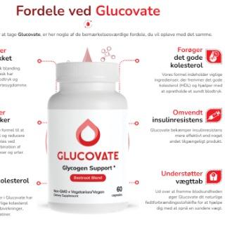 Glucovate Blood Sugar Demark anmeldelse Eksklusivt